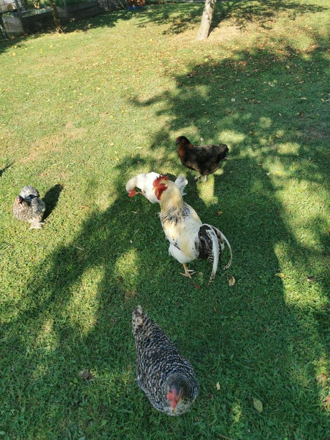 Bienvenue Chez Moi A Concevreux Bed & Breakfast エクステリア 写真